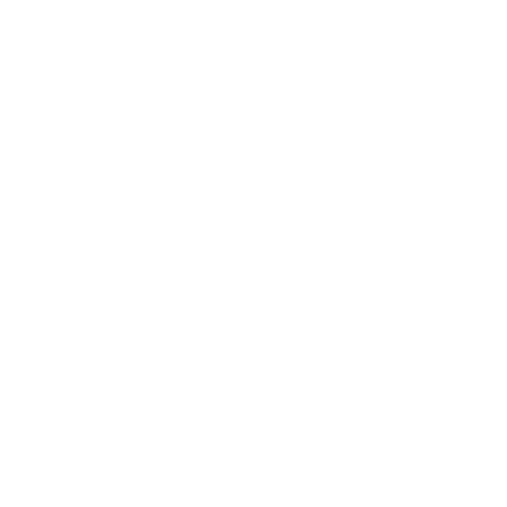 BSCI Logo
