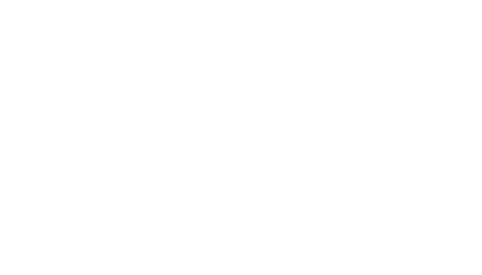Logo Reebok